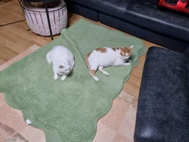 ㅁ