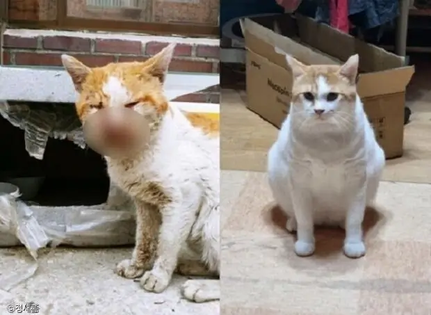 ㅁ