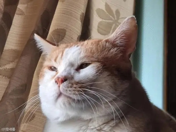 ㅁ