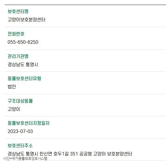통영 '고양이학교' 논란...보호시설인가 관광지인가