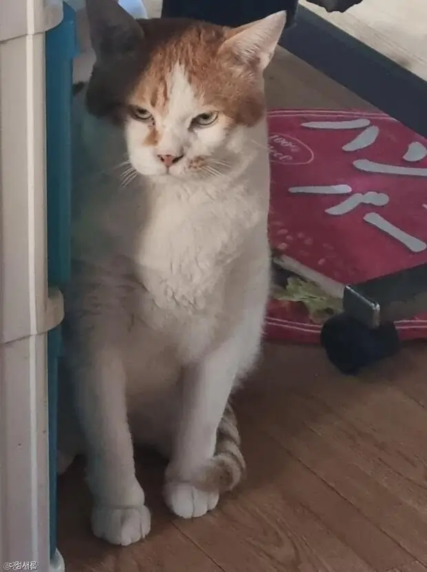 ㅁ
