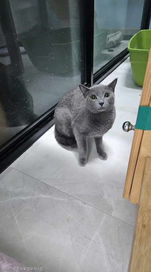 ⓒ노트펫