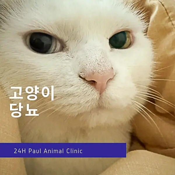 ㅁ
