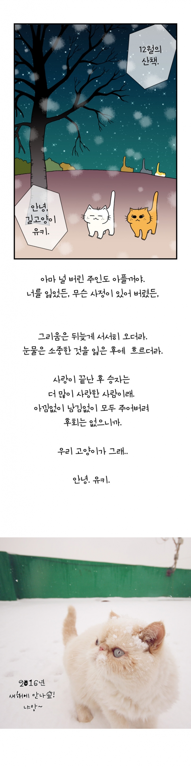 웹툰 이미지