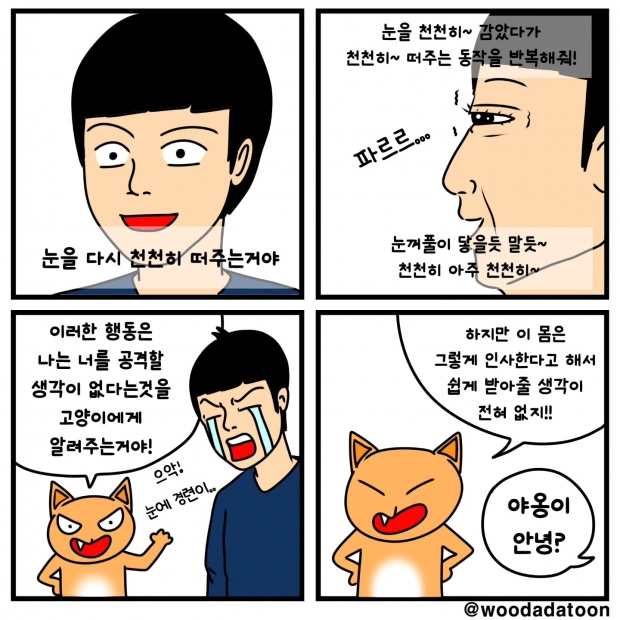 웹툰 이미지