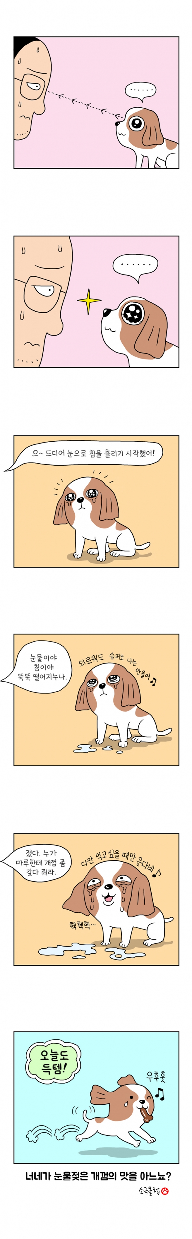 웹툰 이미지