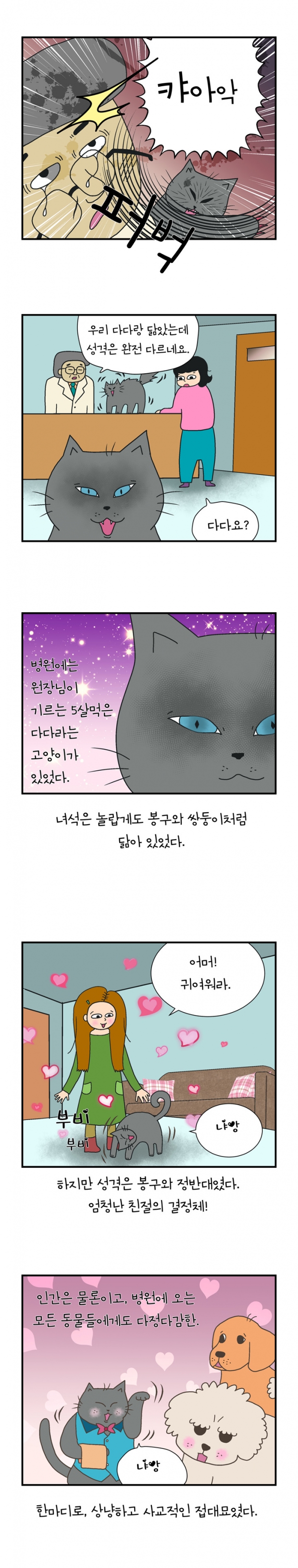 웹툰 이미지