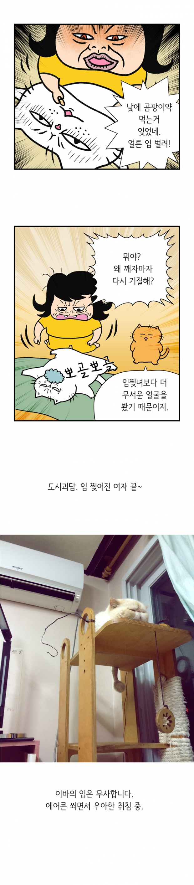 웹툰 이미지