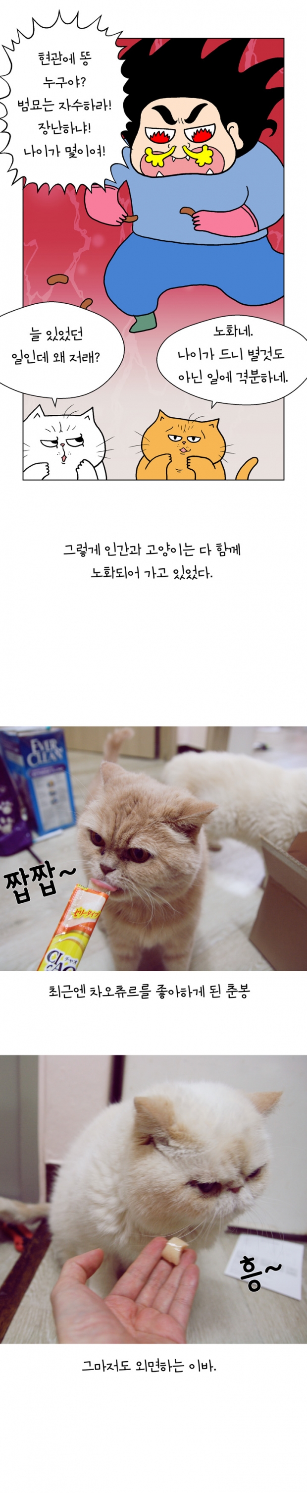 웹툰 이미지