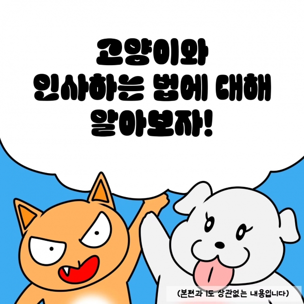 웹툰 이미지