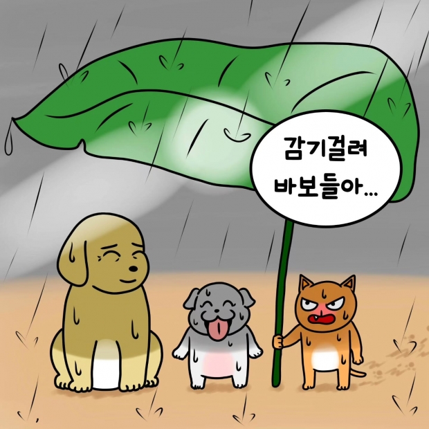 웹툰 이미지