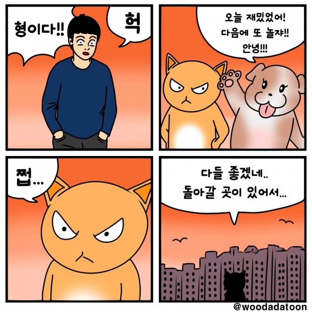웹툰 이미지