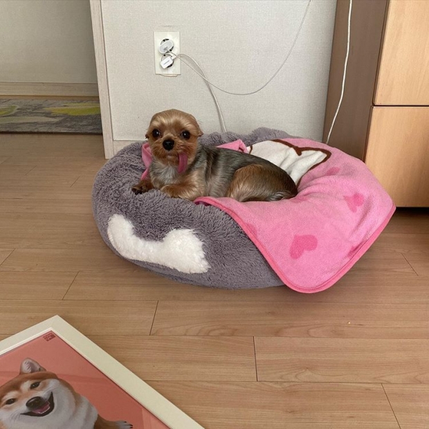 웹툰 이미지