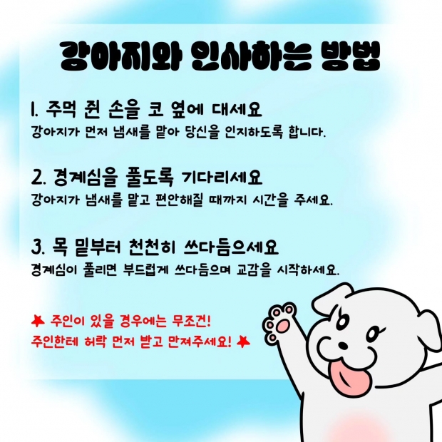 웹툰 이미지