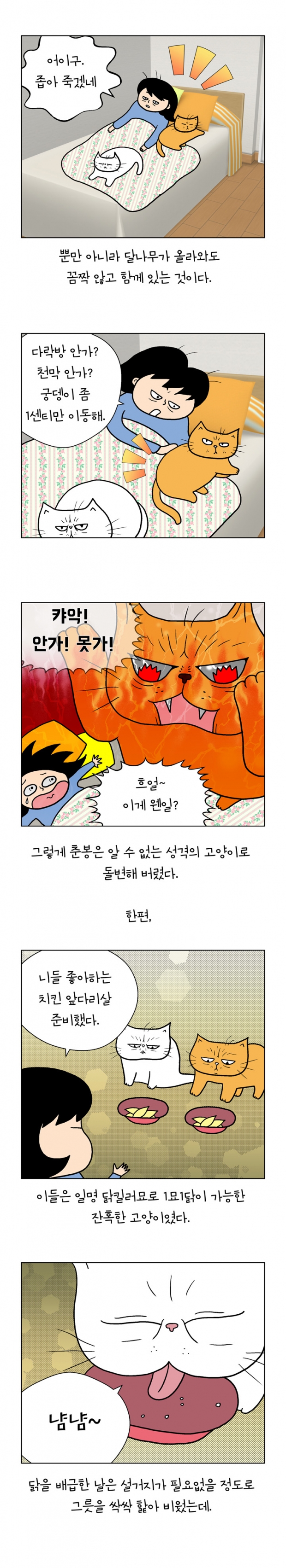 웹툰 이미지