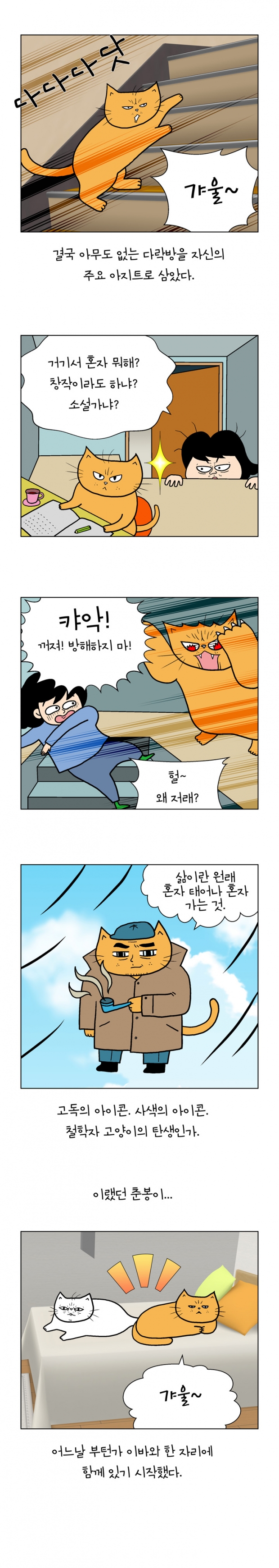 웹툰 이미지