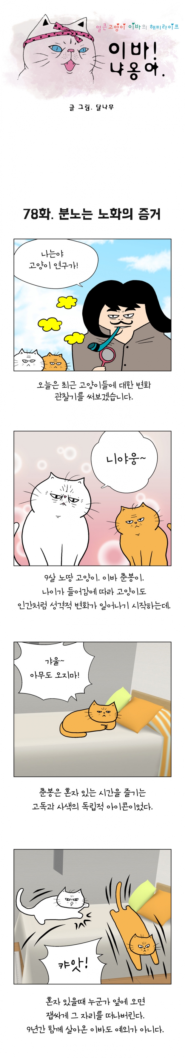 웹툰 이미지