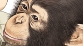 제인 구달, 침팬지 사회에 참여