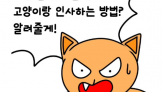 고양이와 인사하는 방법